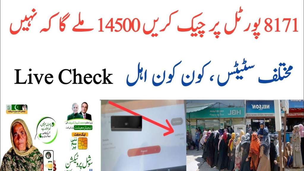 Learn how to check BISP 8171 Rs 14500 payment status online by CNIC through the 8171 web portal and SMS service. Complete guide with eligibility, payment updates, and solutions.